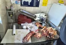 Operação em Guararapes apreende 450 kg de carne vencida e sem procedência em açougue