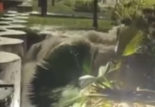 GCM é ‘engolido’ por cratera em Praia Grande, mas não sofre ferimentos; VEJA VÍDEO