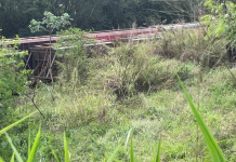 Mistério: Corpo é encontrado em estado avançado de decomposição na Estrada do Mão Branca