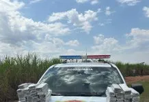 Perseguição policial termina em capotamento, morte e apreensão de maconha na SP-310