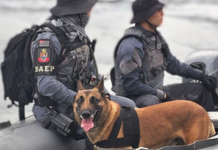 Mais de 20 kg de drogas são apreendidas em ação policial em área de mata em  Cubatão