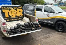 Casal é preso pelo TOR com R$ 3,5 milhões em haxixe e skank na SP-310