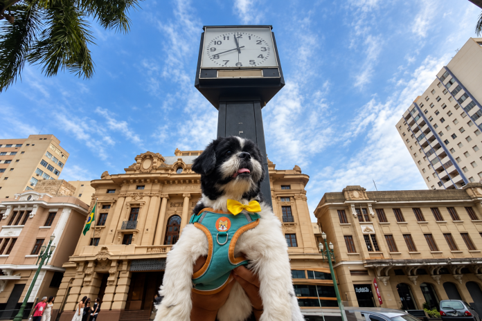 encontro_shih_tzu_-_foto_divulgacao1