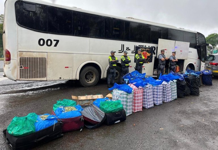Polícia Rodoviária apreende quase 750 kg de folhas de coca na SP-270