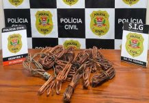 Dono de reciclagem é preso com mais de 14 kg de fios de cobre de empresa de energia em Ubatuba