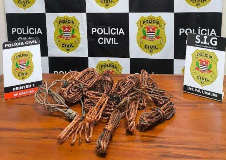 Dono de reciclagem é preso com mais de 14 kg de fios de cobre de empresa de energia em Ubatuba