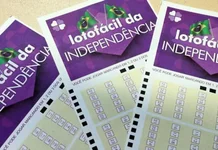 Lotofácil da Independência: 72 apostas acertaram e levam de R$4,4 milhões cada