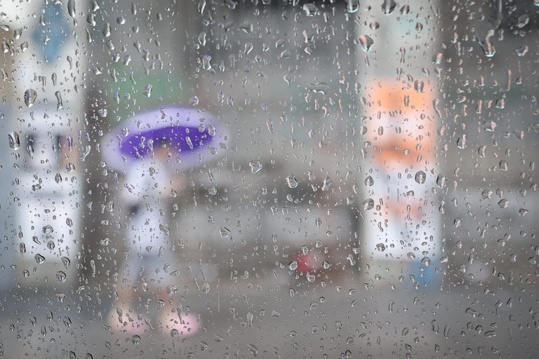 Temporal: Sabia como se proteger durante período de chuvas fortes
