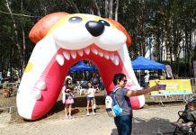 Feira de adoção de pets acontece em São José dos Campos neste domingo