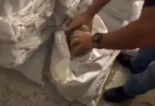 Justiça Federal concede soltura a iraniano acusado de tentar enviar 180 kg de cocaína pelo Porto de Santos