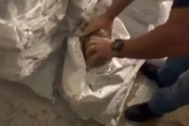 iraniano tenta enviar cocaina para dubai