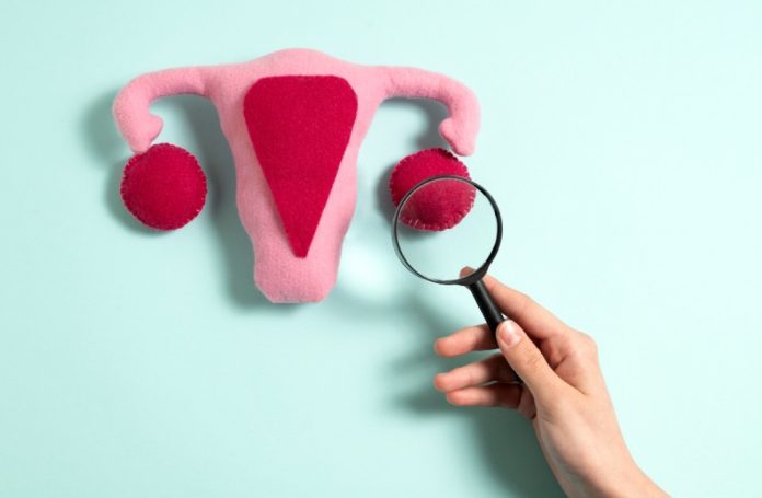 Menopausa pode dar sinais a partir dos 40; entenda sintomas que passam despercebidos