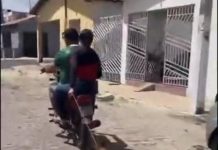 Polícia investiga casal suspeito de puxar cachorro pelo pescoço com motocicleta na PB