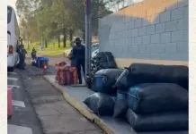 Operação apreende meio milhão de reais em drogas e produtos ilegais na SP-270