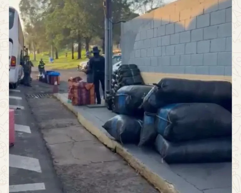 Operação apreende meio milhão de reais em drogas e produtos ilegais na SP-270