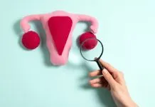 Ovários podem funcionar como marca-passo do envelhecimento feminino, apontam estudos