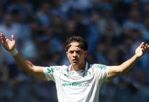 Palmeiras tem baixo desempenho contra times do Z-4