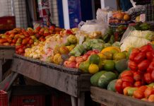 Preços mundiais dos alimentos atingem maior nível desde 2022 com guerras e El Niño, diz FAO