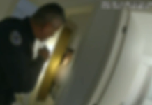 Vítima de abuso sexual é resgatada de cárcere privado e suspeito é preso em rápida ação da Guarda Municipal