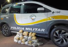 Polícia Rodoviária prende boliviana com quase 20 kg de skunk